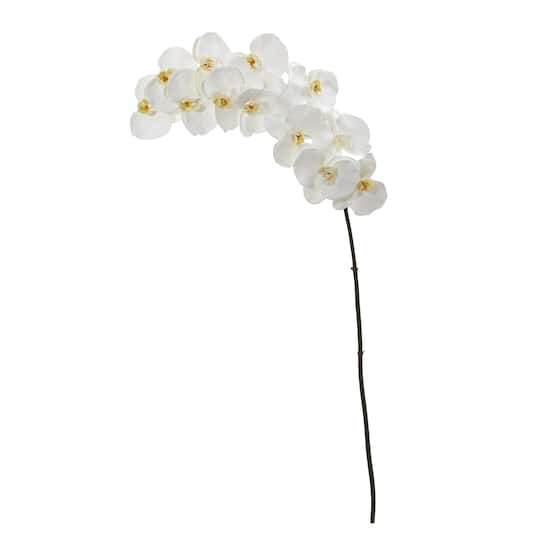 White Moth Orchid Stem, 3ct.